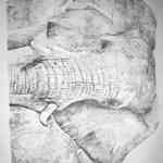 Rock Pencil Drawing Touchtalent For Everything Creative