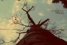 All religions are the branches of same tree!