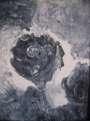 black rose