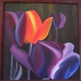 daffodils