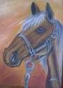 horse